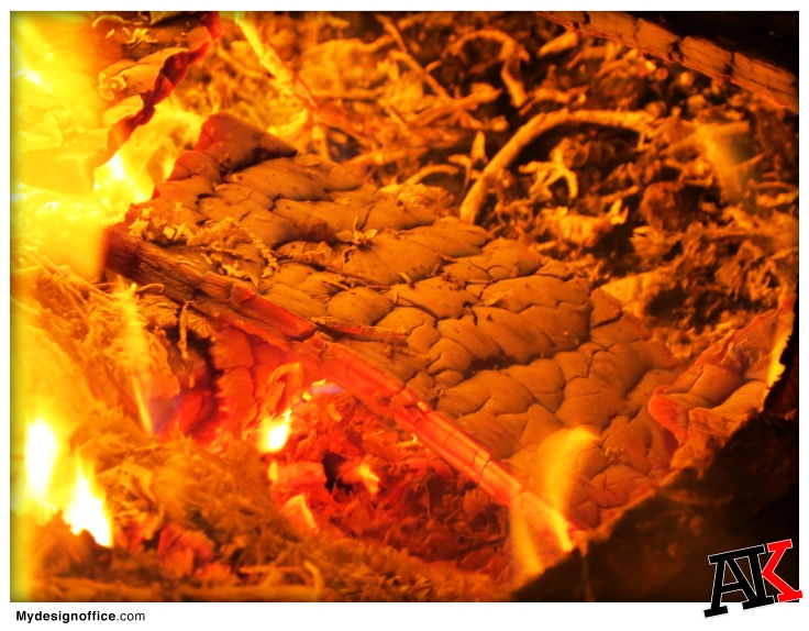 Fire-burnt-log